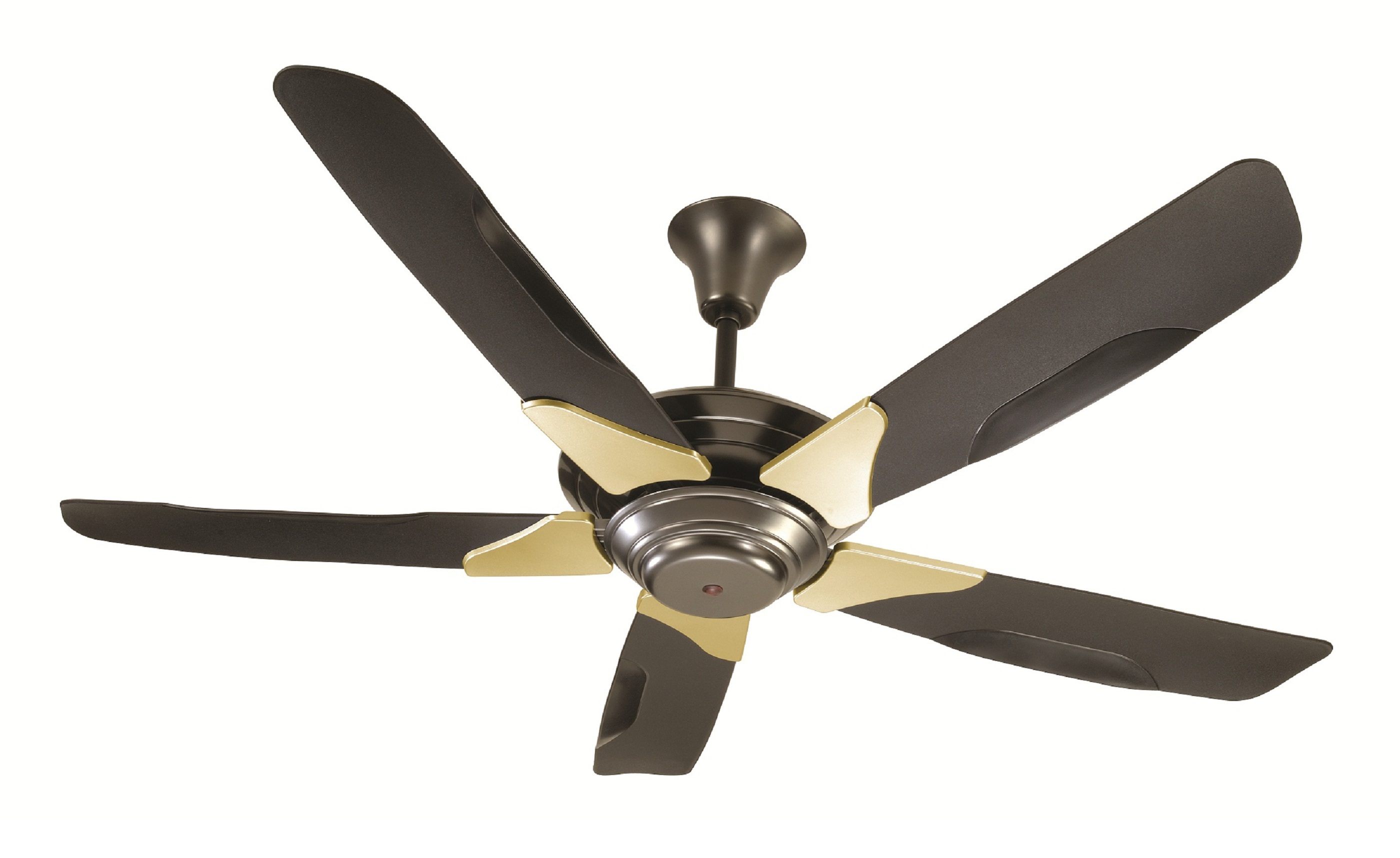 ceiling fan installation